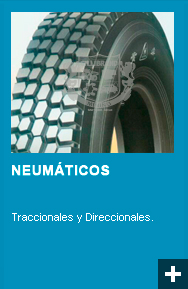 neumticos