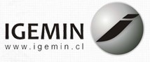 Logotipo IGEMIN