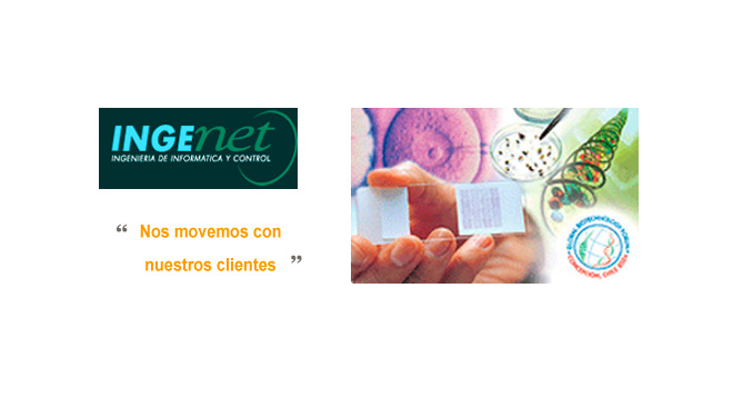 Ingenet emprende su internacionalizacin en solitario.