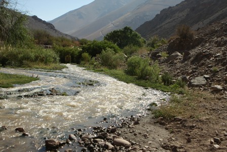 Sonami y derechos de agua: hoy la ley prioriza el consumo humano