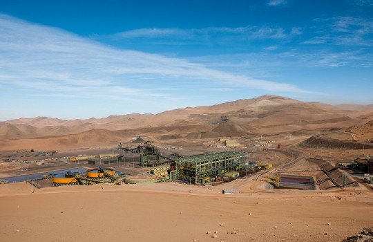 Empresas mineras y salmoneras admiten que han reducido su tamao o que podran hacerlo